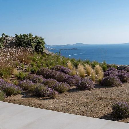 Zelia B&B & Villa Mykonos Town Bagian luar foto